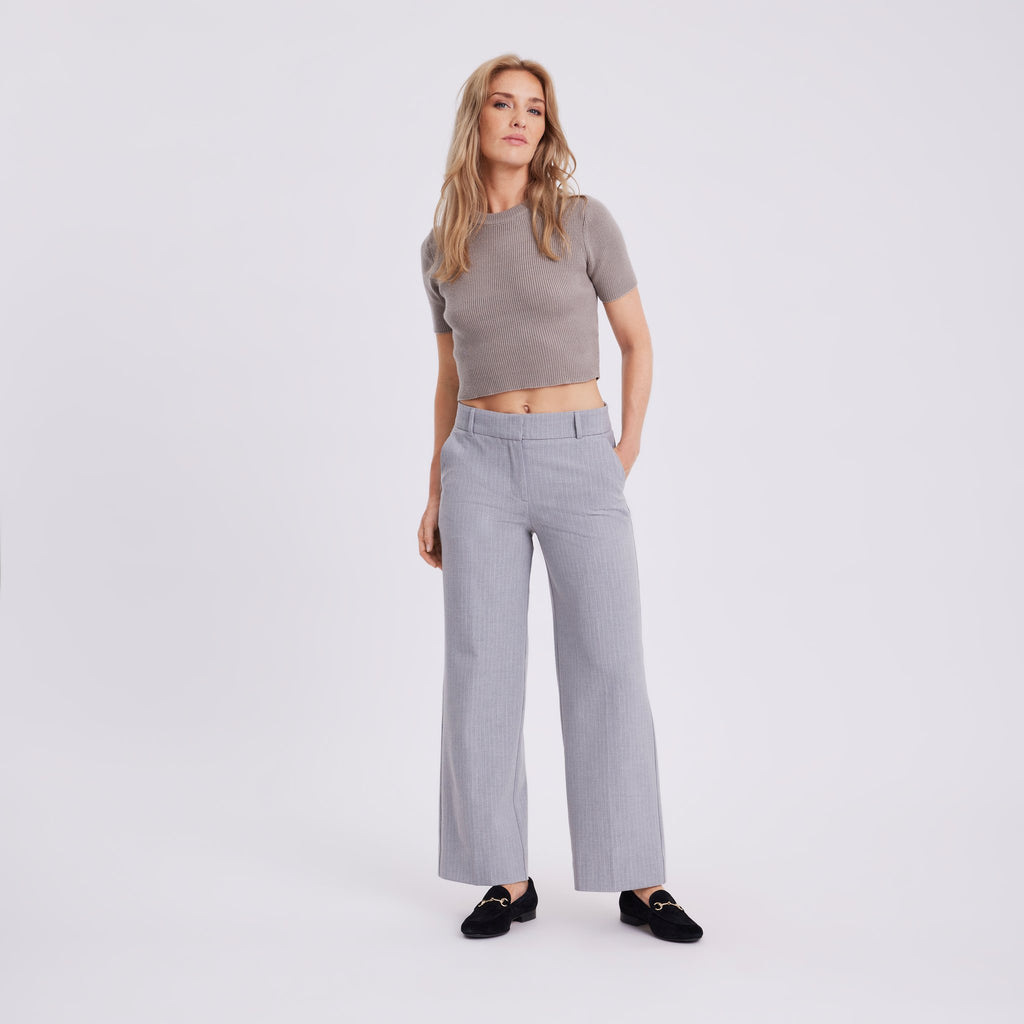 DenaFV_553_GRS Light_Grey_Pinstripe MODEL