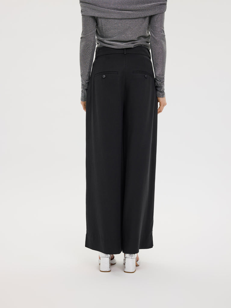 LauraFV_849 Raven BACK